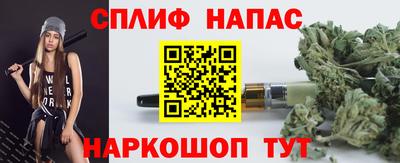 гидра Можга