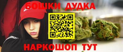 дмт Моздок