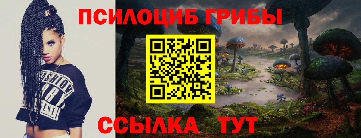 Псилоцибиновые грибы прущие грибы Щёлково